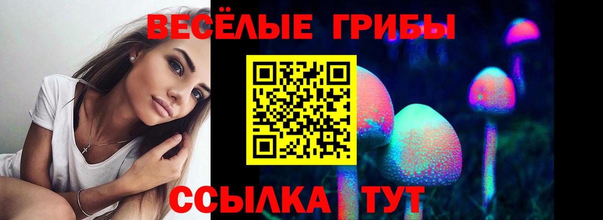 Галлюциногенные грибы Cubensis  Псилоцибиновые грибы GOLDEN TEACHER  Котлас  магазин    Вход с VPN 